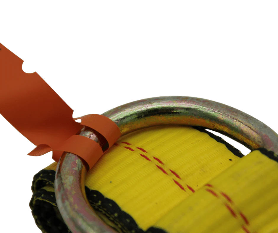 B/A Products Wheel Lift Tie-Down Strap with D-Rings - Image 5